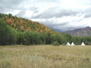 fall colors in August